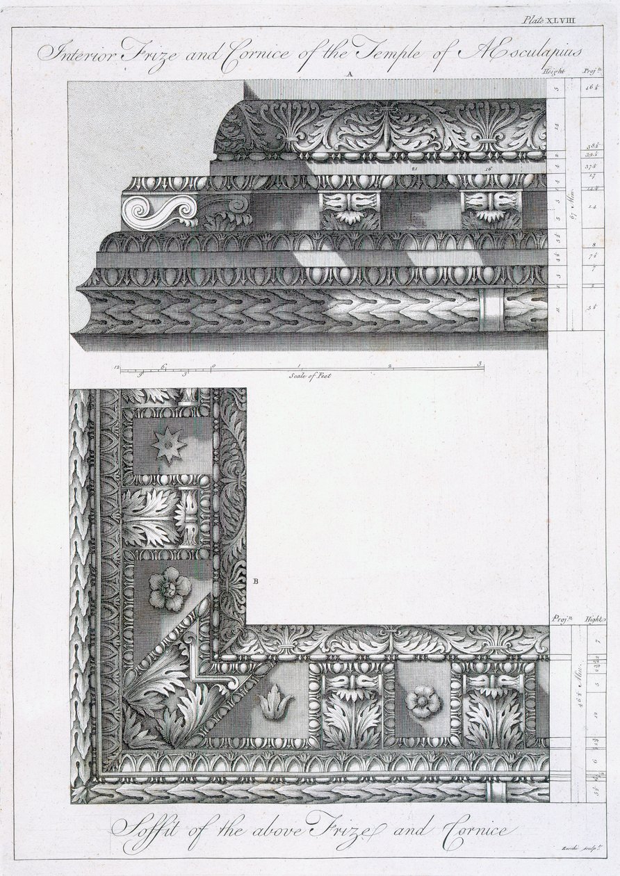 Fryz wewnętrzny i gzyms świątyni Eskulapa, z "Ruiny pałacu cesarza Dioklecjana w Spalatro w Dalmacji", opublikowane w 1764 r. autorstwa Robert Adam