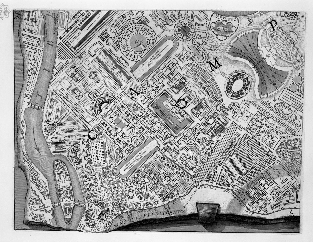 Mapa kampusu Martius autorstwa Robert Adam