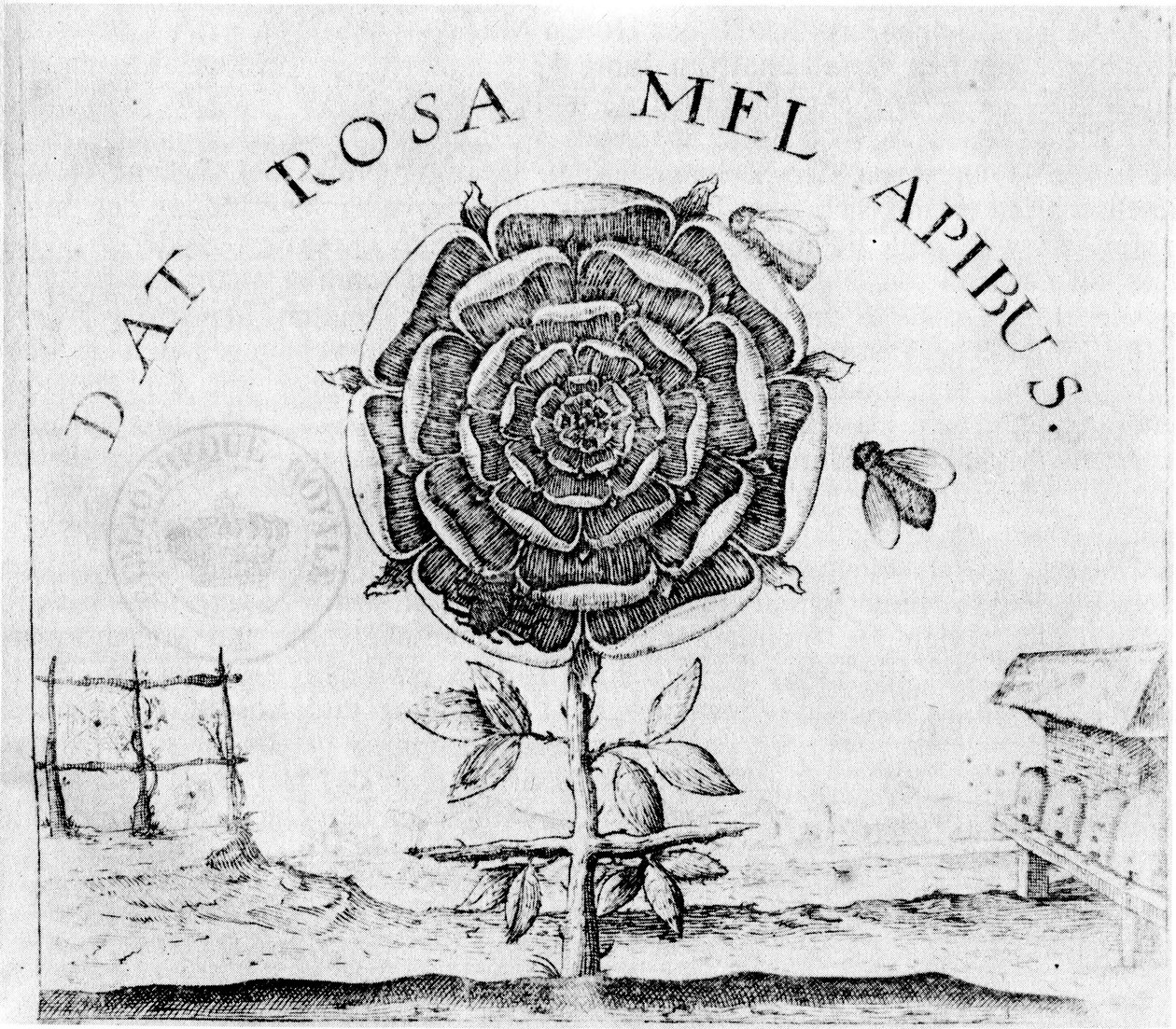 strona Najwyższego Dobra autorstwa Robert Fludd