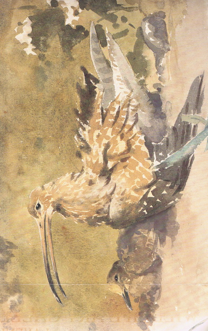 Kulik i młode autorstwa Robert George Talbot Kelly