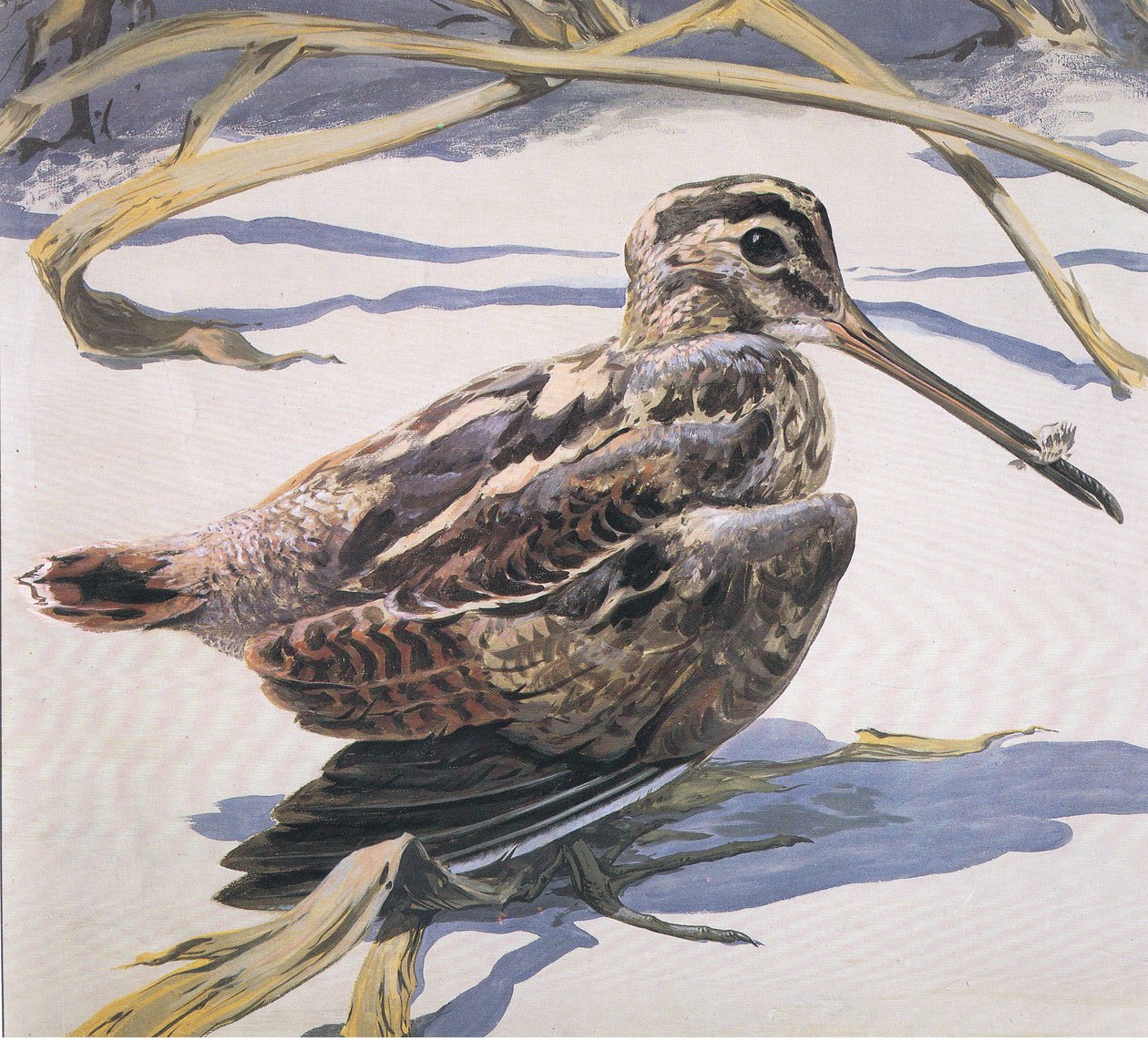 Snipe autorstwa Robert George Talbot Kelly