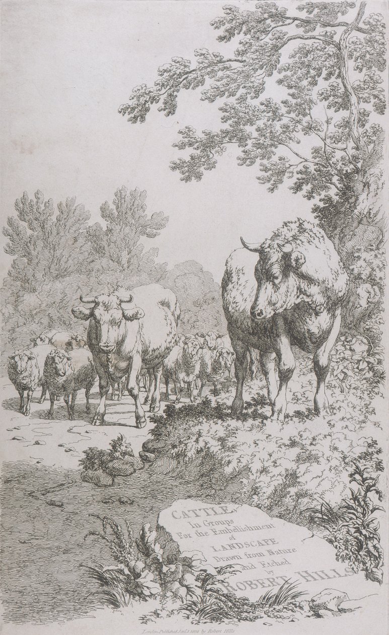 Strona tytułowa dla bydła w grupach dla upiększenia krajobrazu..., 1808 autorstwa Robert Hills
