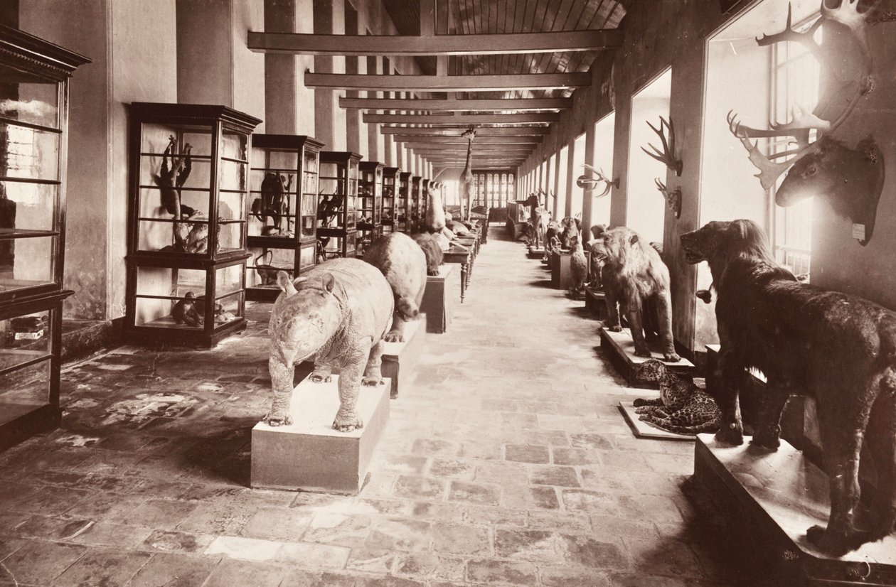Muzeum Narodowe w Bangkoku, ok. 1890 r. autorstwa Robert Lenz