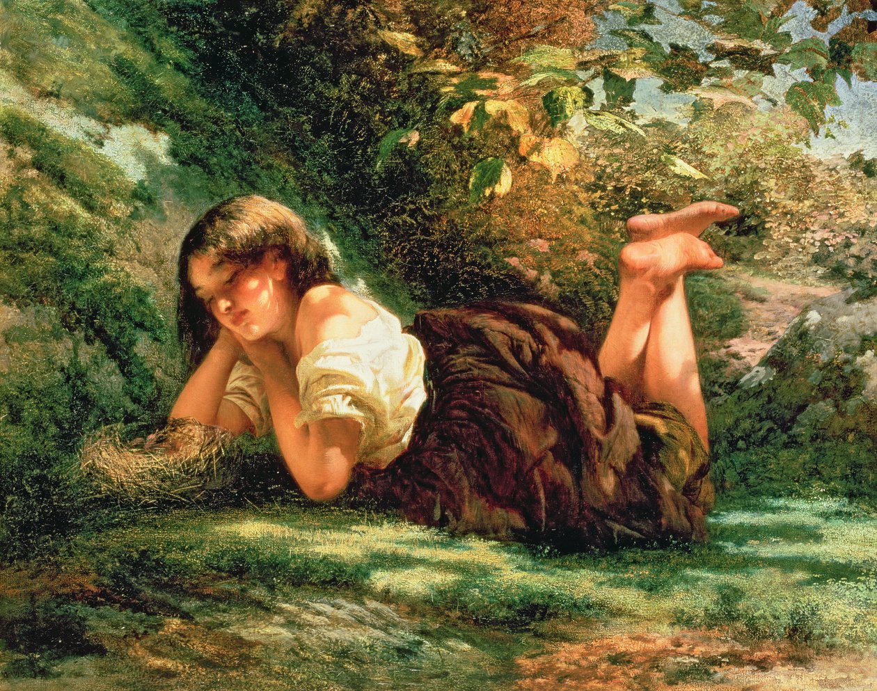 Gniazdo autorstwa Robert RSA Gavin