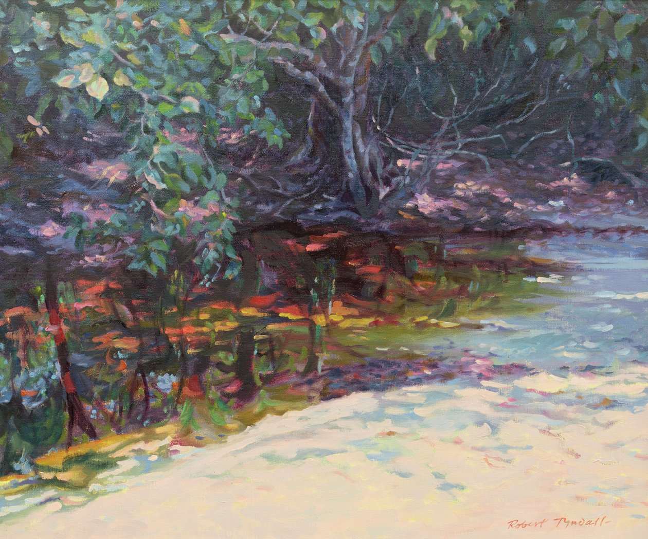 Plaża i las deszczowy, Cape Tribulation, Northern Queensland, Australia autorstwa Robert Tyndall