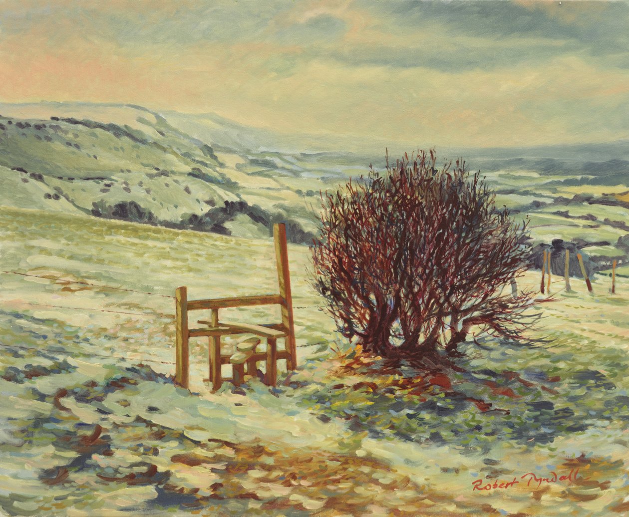 Sussex Stile, zima, 1996 autorstwa Robert Tyndall