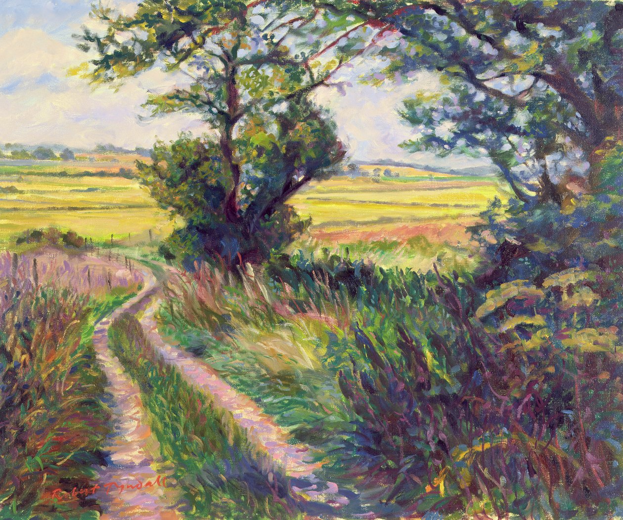 Szlak do Boleyns Farm, Kent autorstwa Robert Tyndall