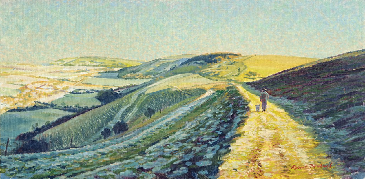 Zimowy spacer po upadkach, 1996 autorstwa Robert Tyndall