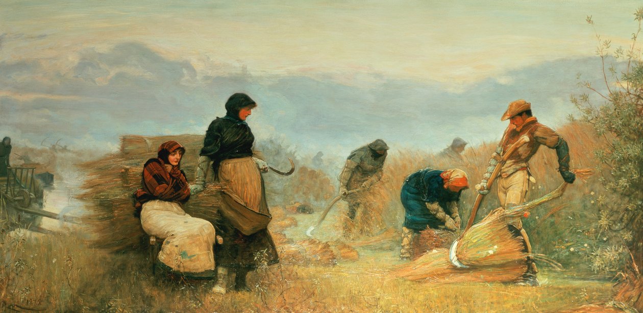 Ant pelkių, 1878 poli autorstwa Robert Walker Macbeth