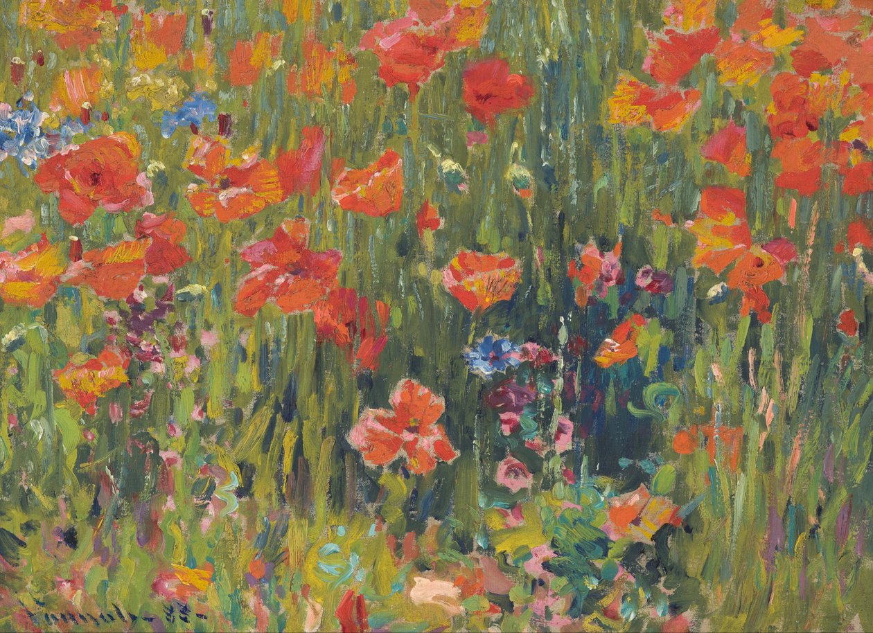 Maki autorstwa Robert William Vonnoh