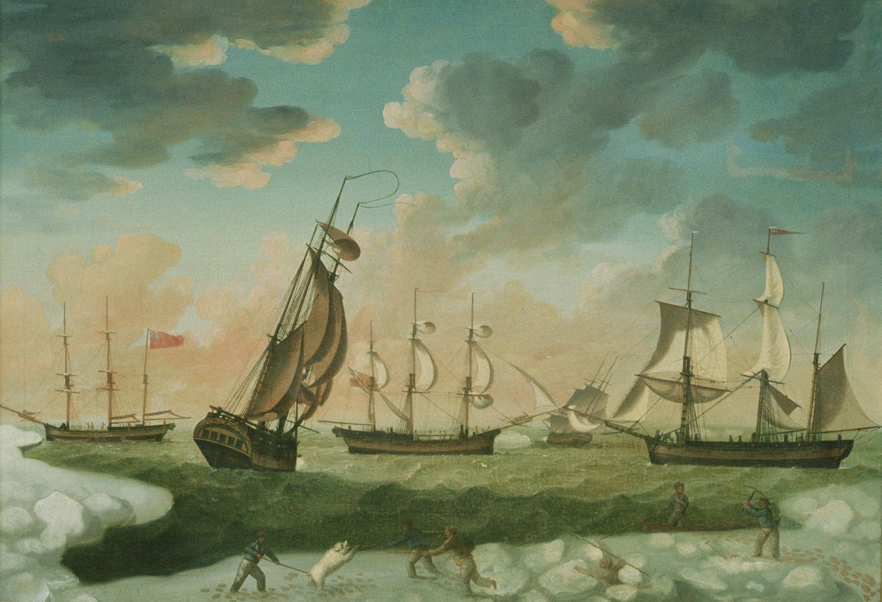 Scena arktyczna autorstwa Robert Willoughby