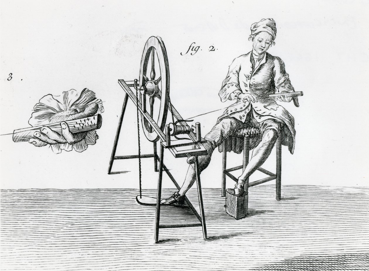 Ekonomia rustykalna, bawełna, z Encyklopedii Denisa Diderota 1713-84 grawerowanie bw szczegół zdjęcia z 164438 autorstwa Robert Benard