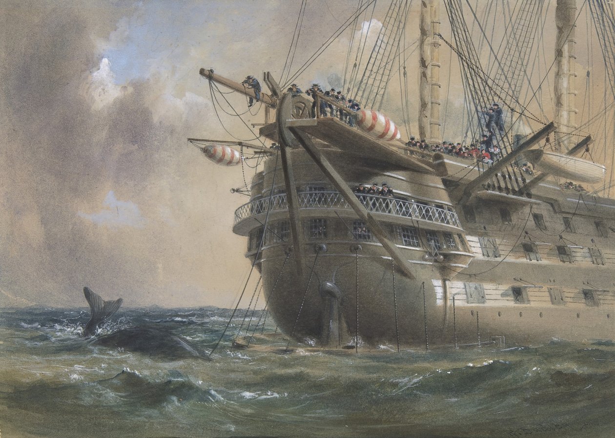 H.M.S. Agamemnon Układanie kabla telegraficznego Atlantyku w 1858 r.: Wieloryb przekracza linię, 1865-66. autorstwa Robert Charles Dudley