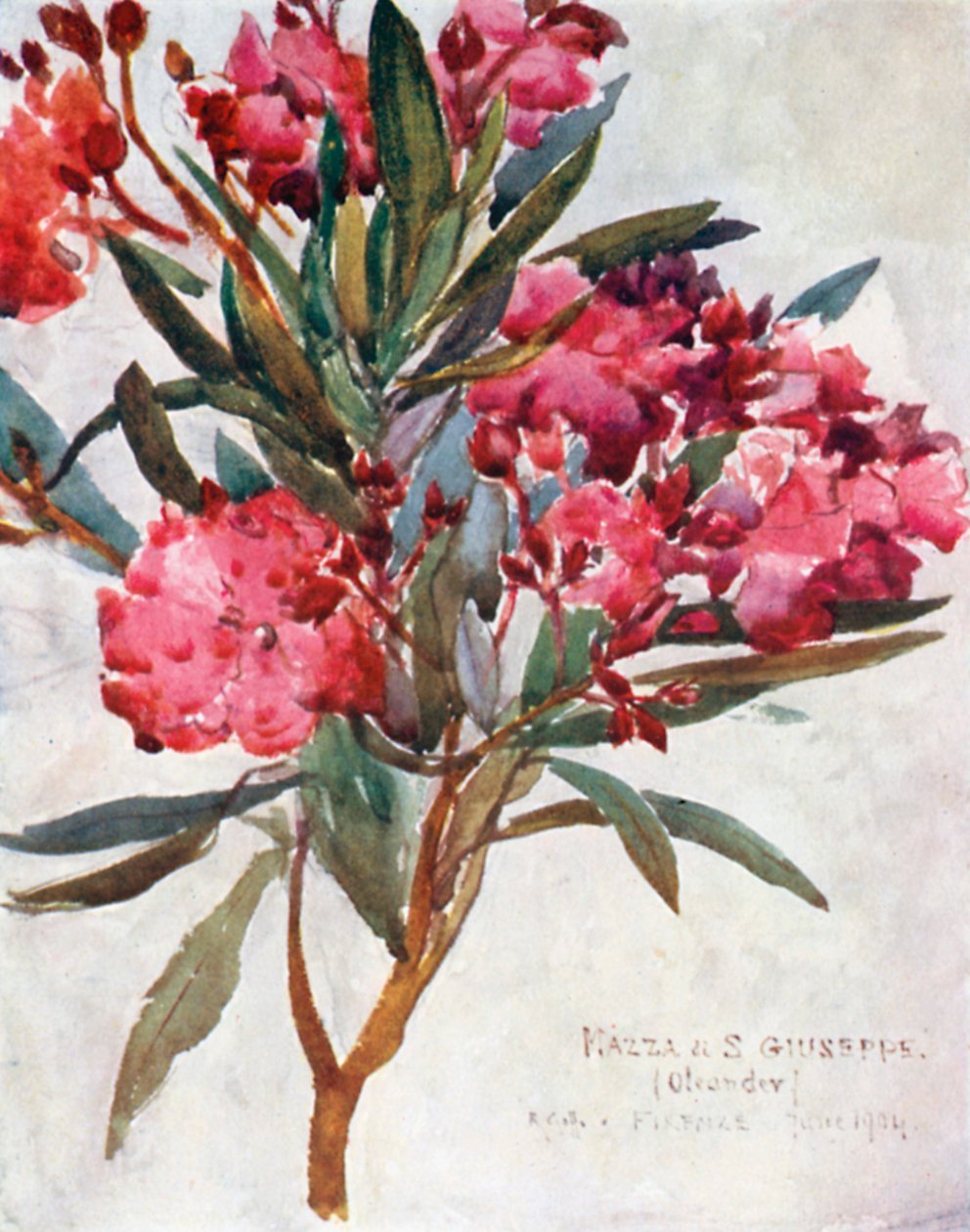  autorstwa Robert Charles Goff