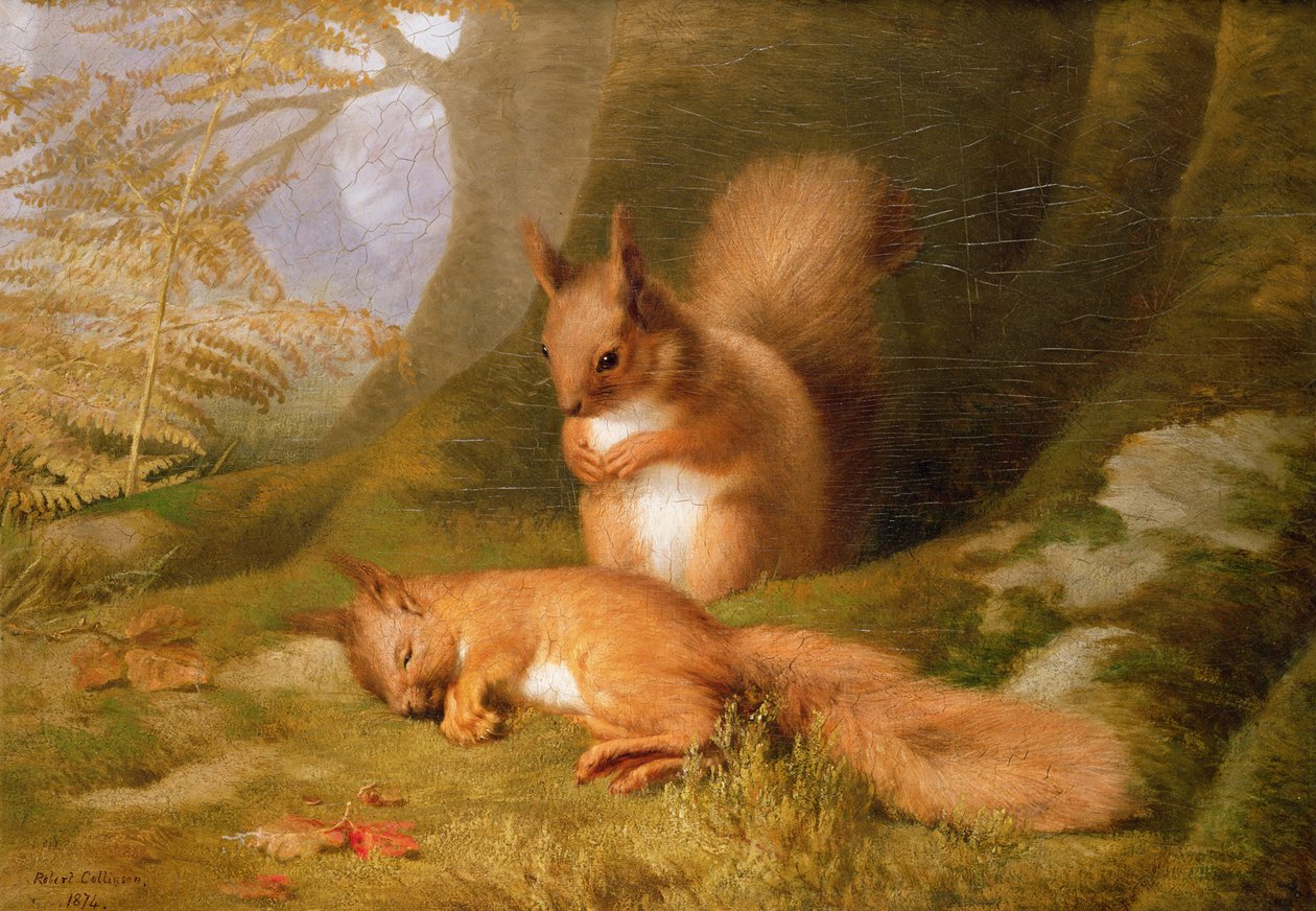 Wiewiórki w lesie, 1874 autorstwa Robert Collinson