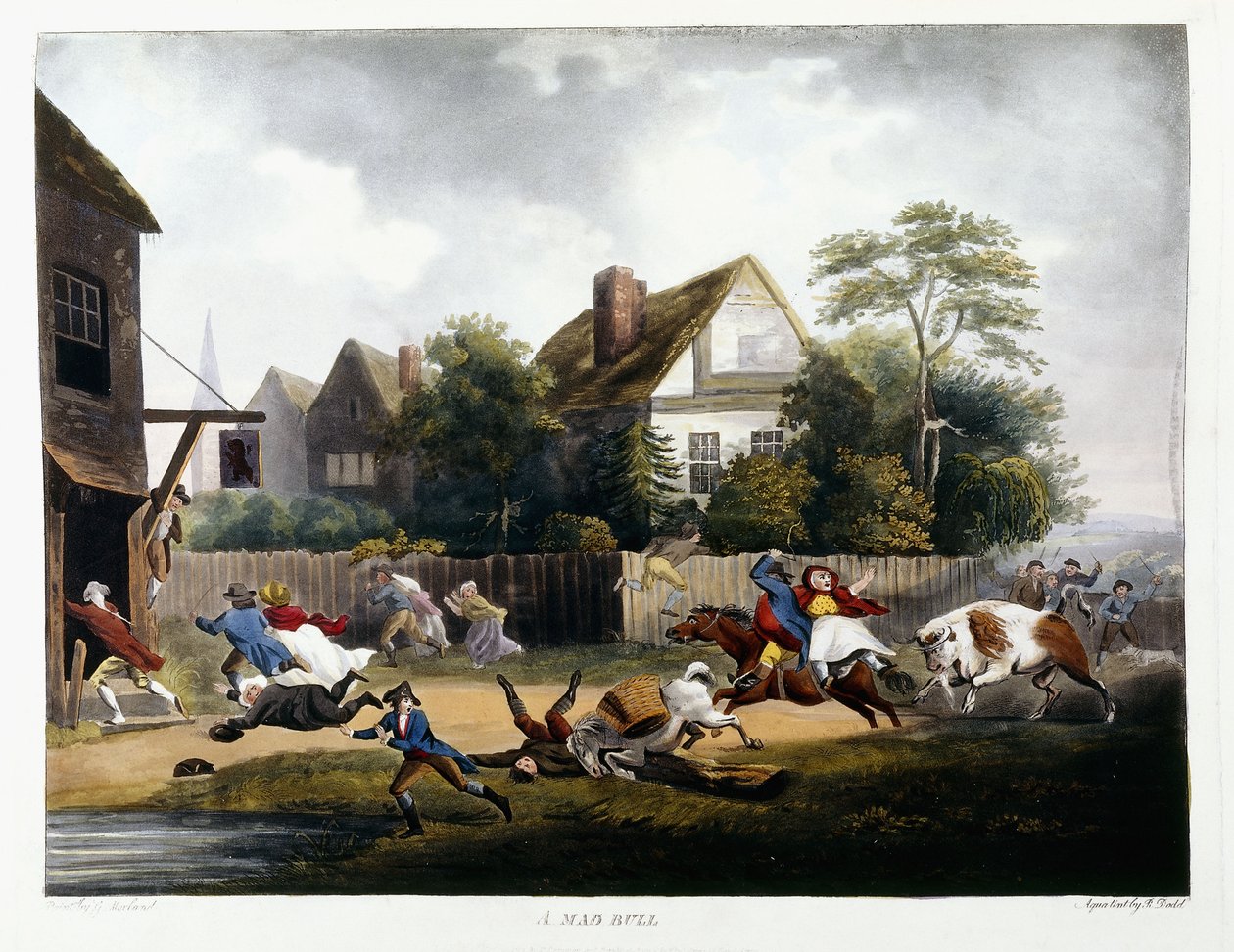 Szalony byk, 1806 autorstwa Robert Dodd