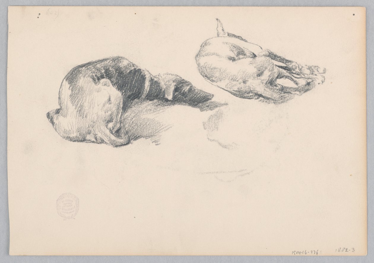 Psy autorstwa Robert Frederick Blum