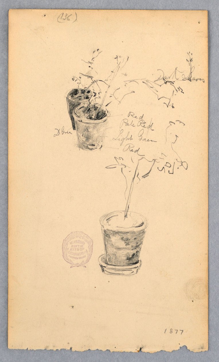 Rysunek, Doniczki z kwiatami, 1877 autorstwa Robert Frederick Blum