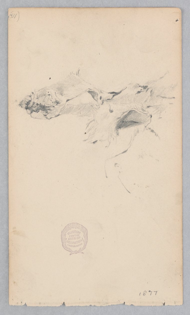 Dywan ze skóry tygrysa autorstwa Robert Frederick Blum