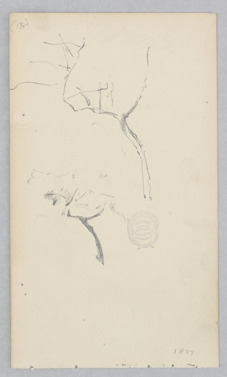 Drzewo autorstwa Robert Frederick Blum