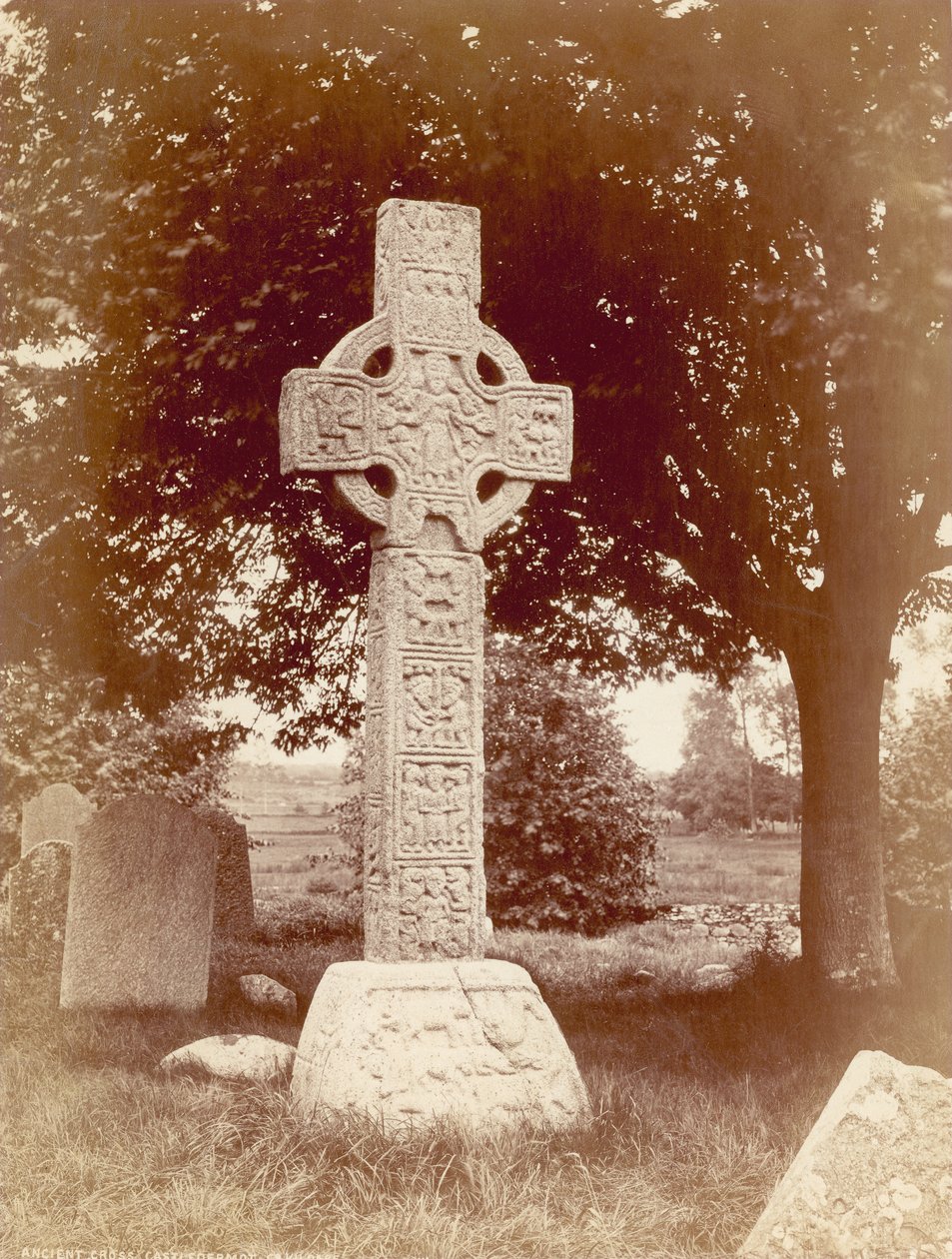 Południowy Wysoki Krzyż w Castledermot, Co. Kildare, Irlandia (zdjęcie w sepii) autorstwa Robert French