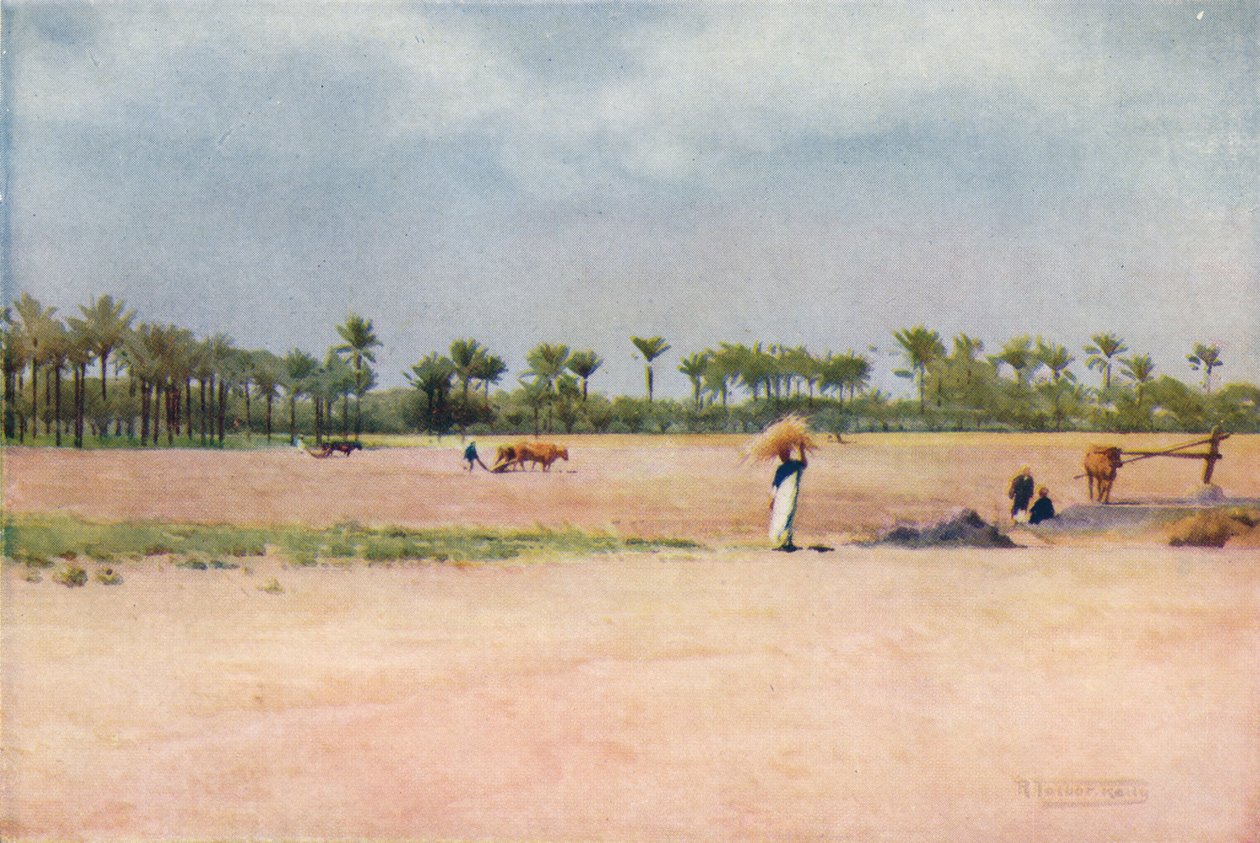 Esbet-El-Ekiad - Ziemia Goszen, ok. 1880, 1904 autorstwa Robert George Talbot Kelly