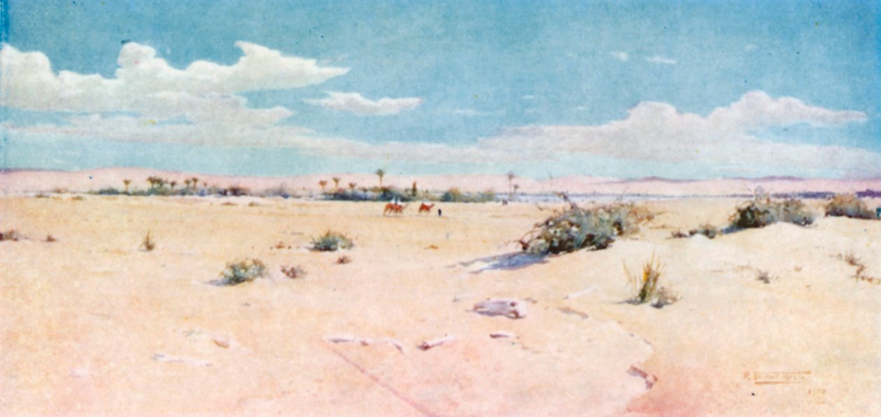 Tel-el-Kebir (druk kolorowy) autorstwa Robert George Talbot Kelly