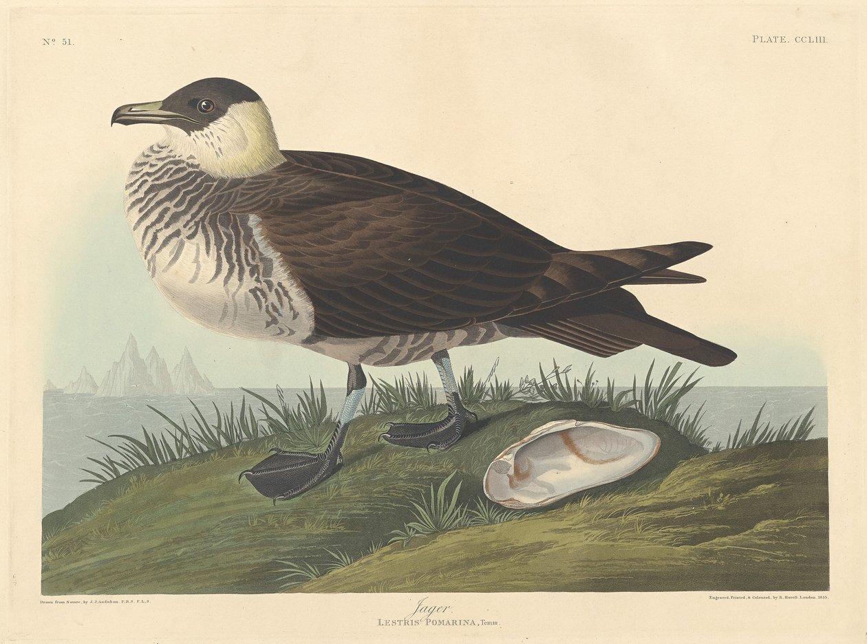 Jager, 1835. autorstwa Robert Havell