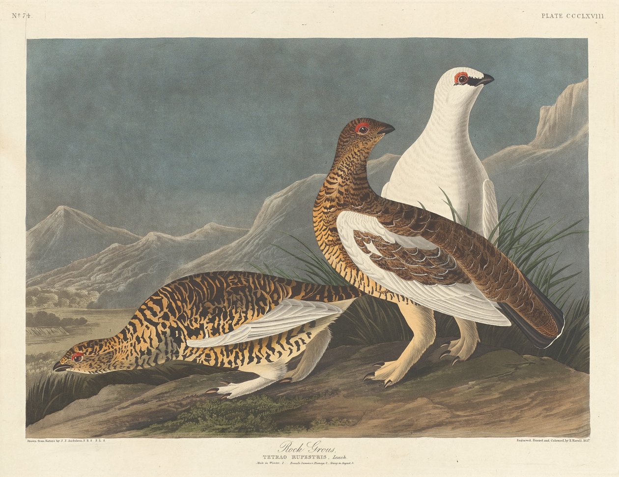 Wielka Skała, 1837. autorstwa Robert Havell