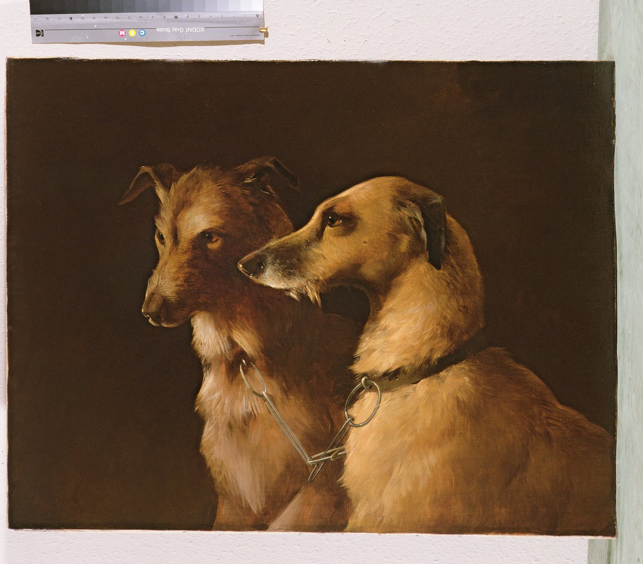 jelenie ogary autorstwa Robert Henry Roe