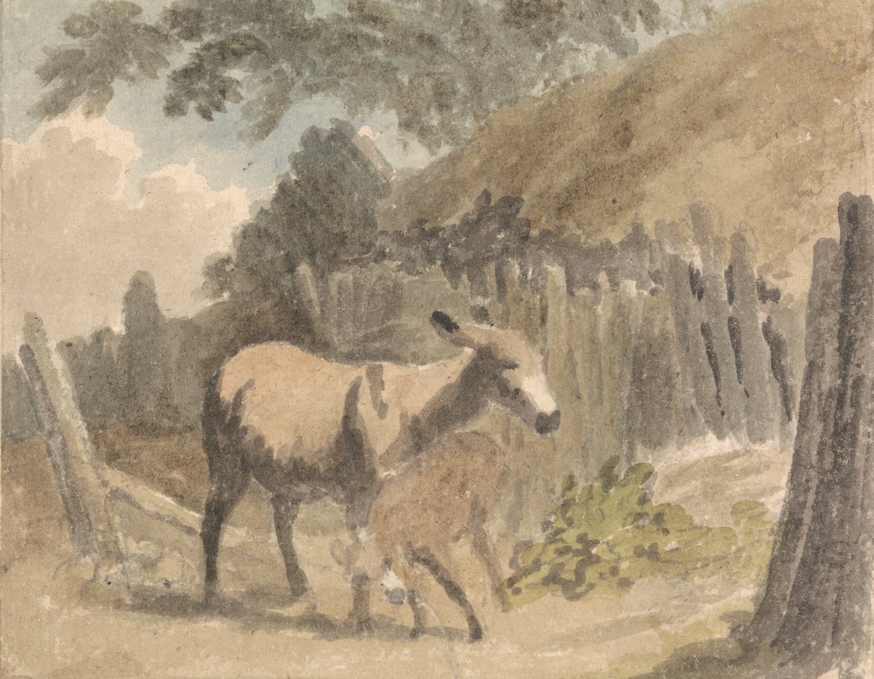 Osioł i źrebię autorstwa Robert Hills