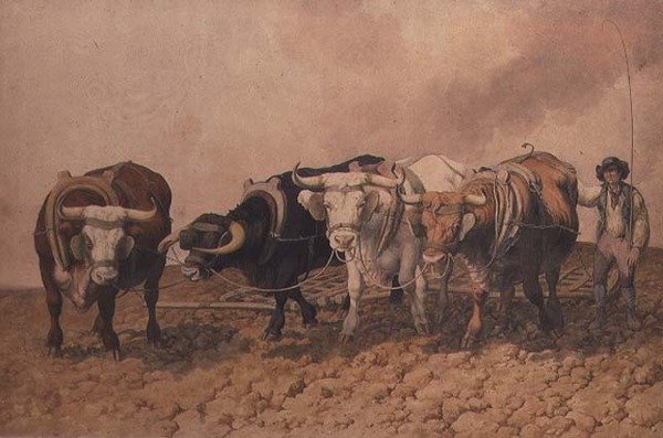 Bielenie autorstwa Robert Hills