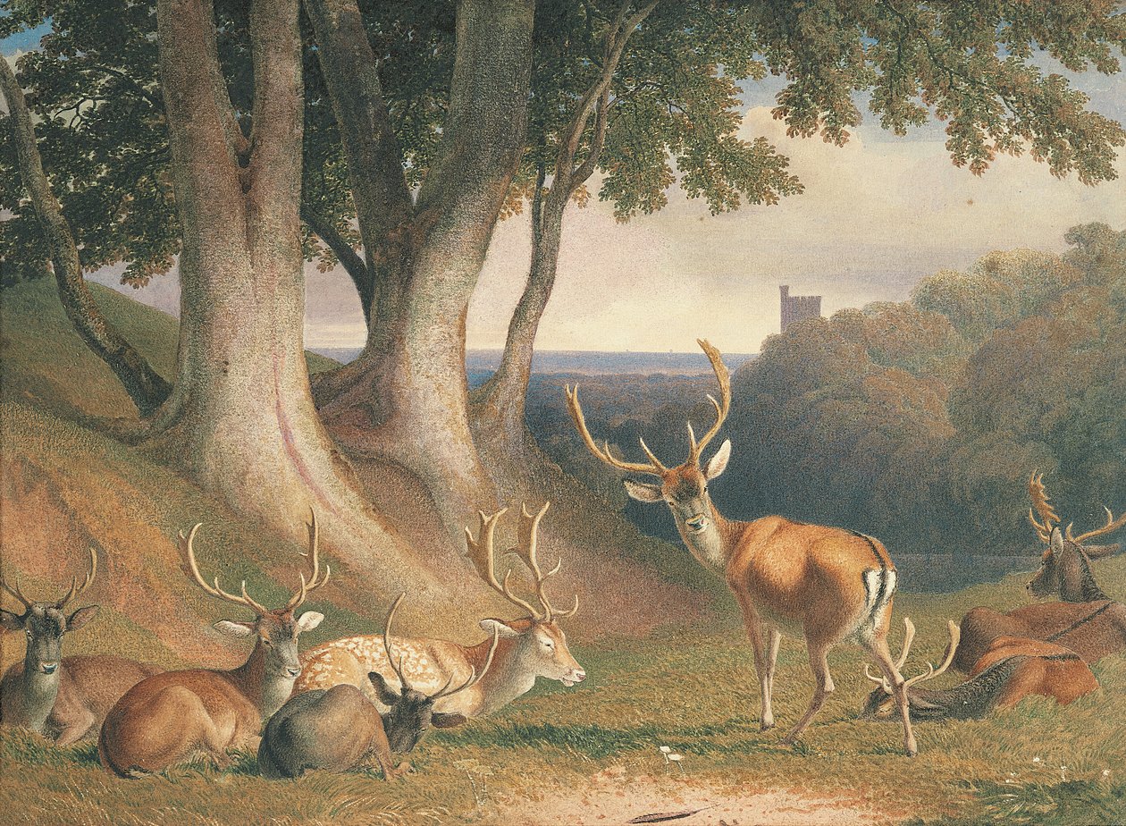 Krajobraz z jeleniem, ok. 1800 (ołówek i akwarela na papierze) autorstwa Robert Hills