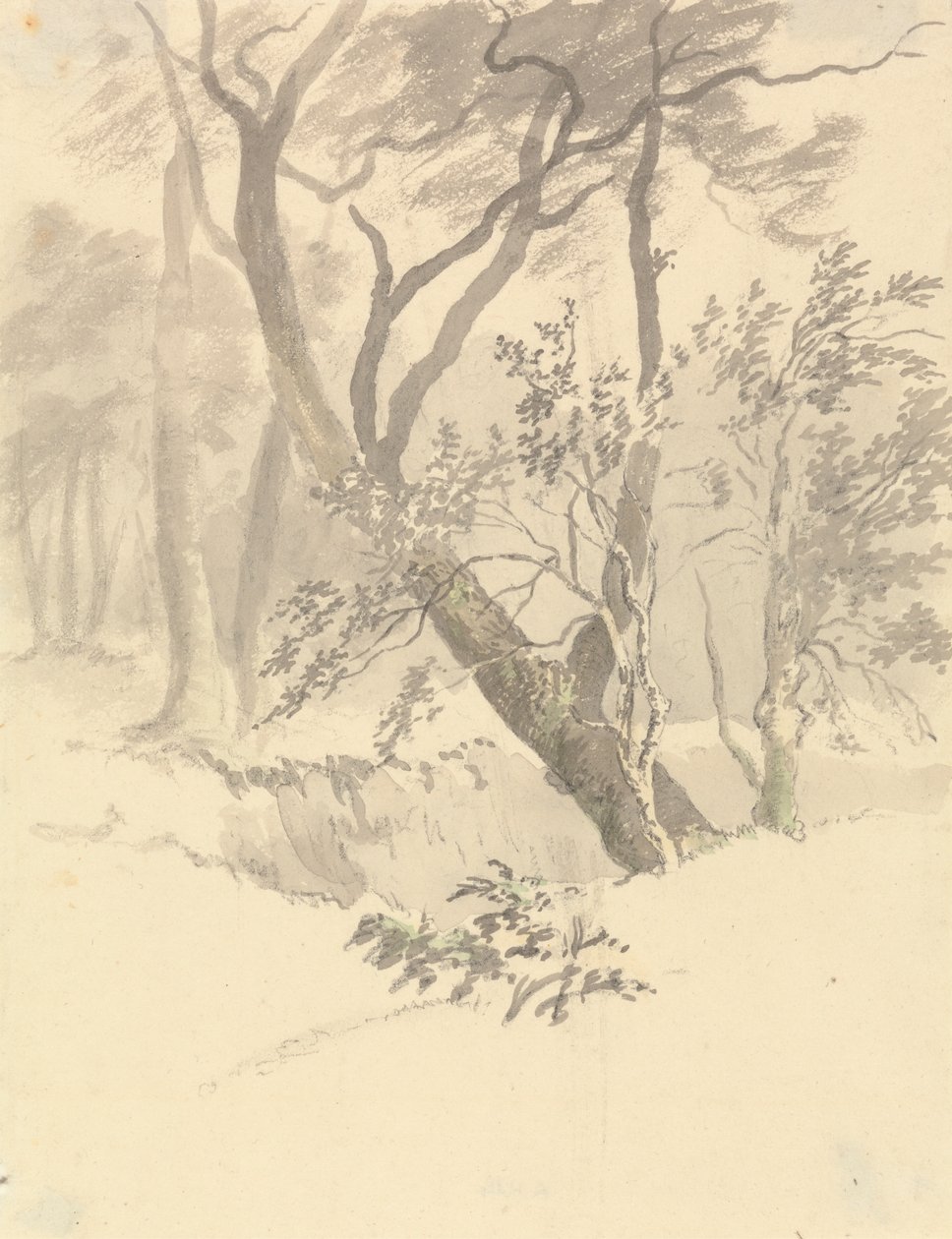 Drewno autorstwa Robert Hills