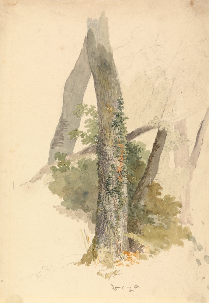 polish autorstwa Robert Hills