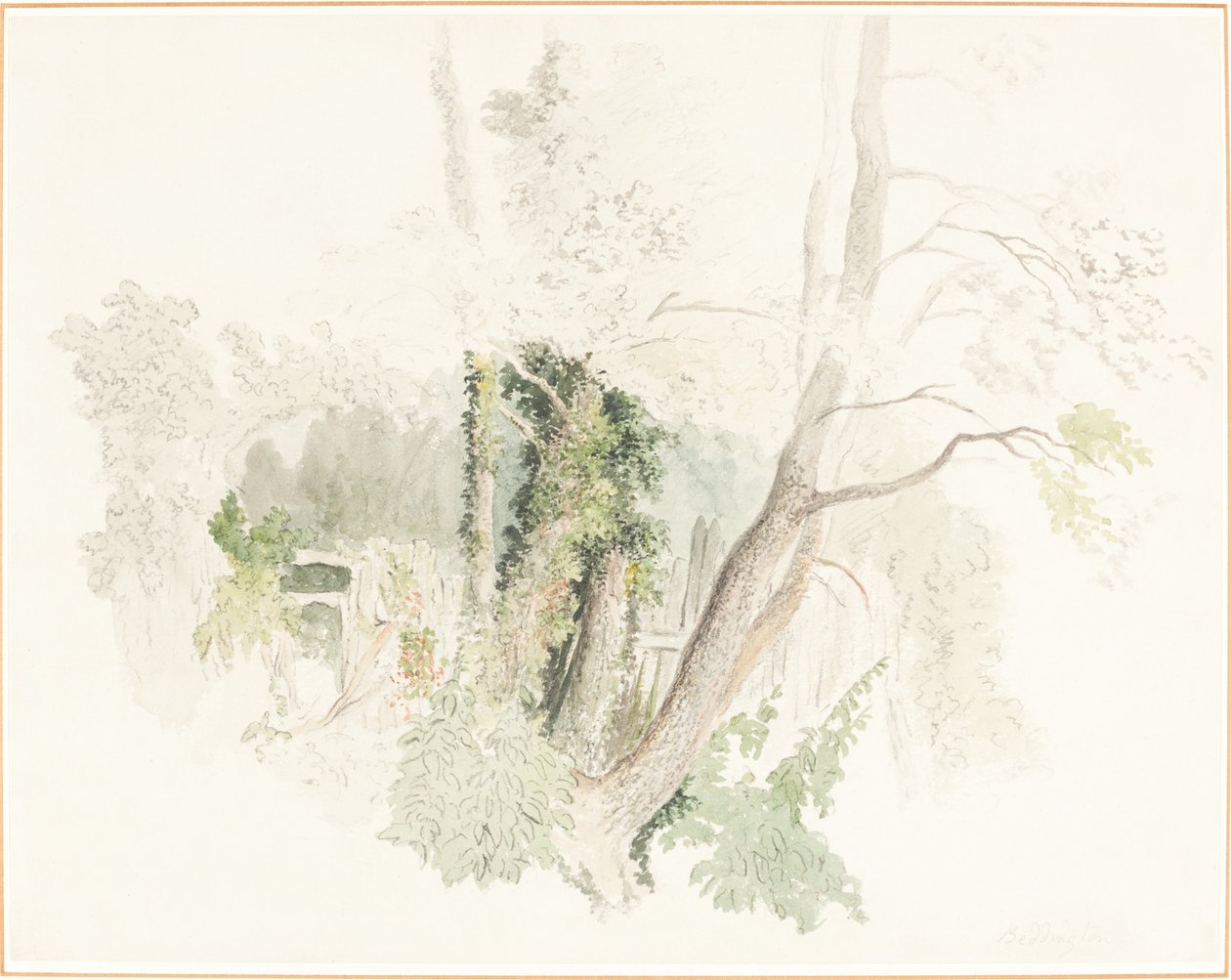Drzewa w Beddington autorstwa Robert Hills