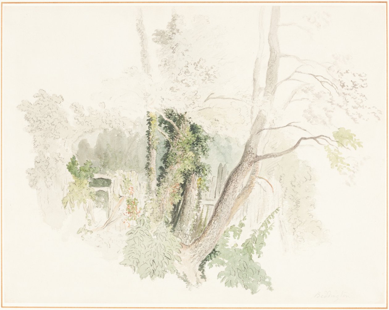 Drzewa w Beddington autorstwa Robert Hills