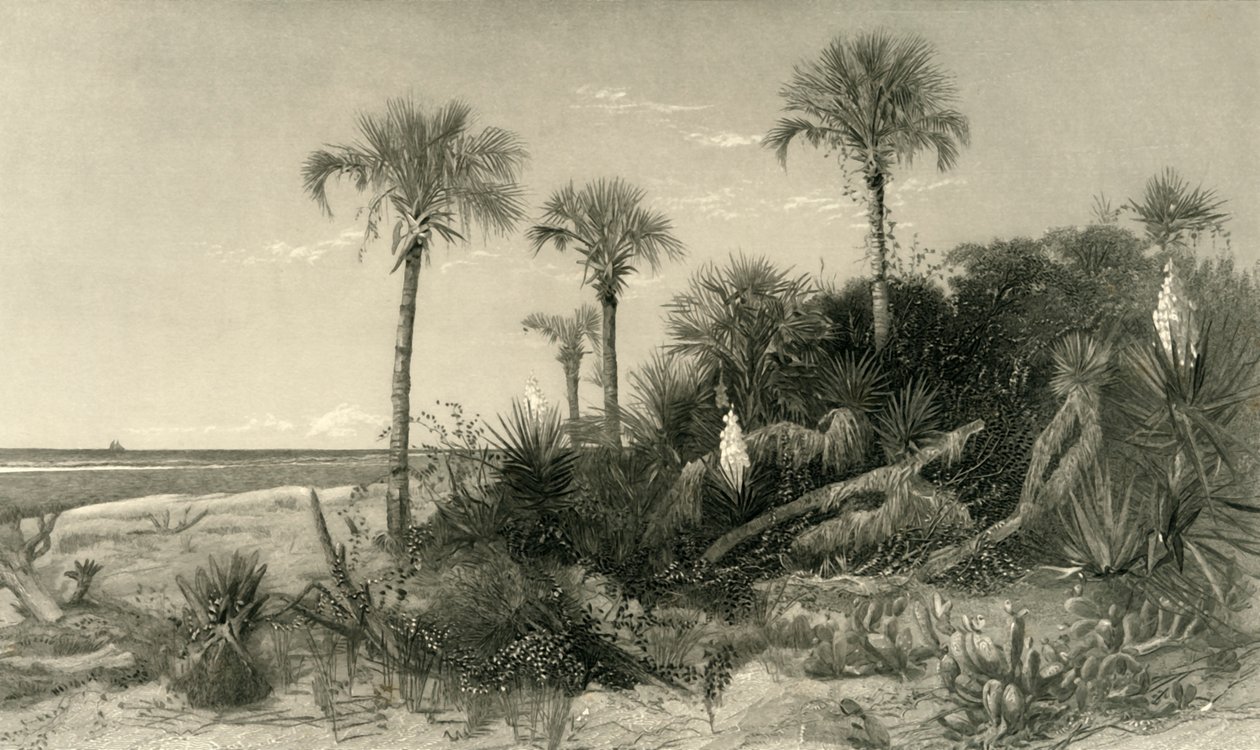 „Na wybrzeżu Florydy”, 1872. autorstwa Robert Hinshelwood