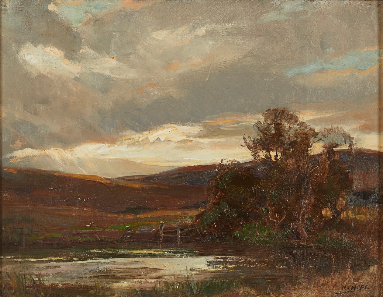 Wieczór na Swire Road, Ettrick Bridge (olej na płótnie) autorstwa Robert Hope