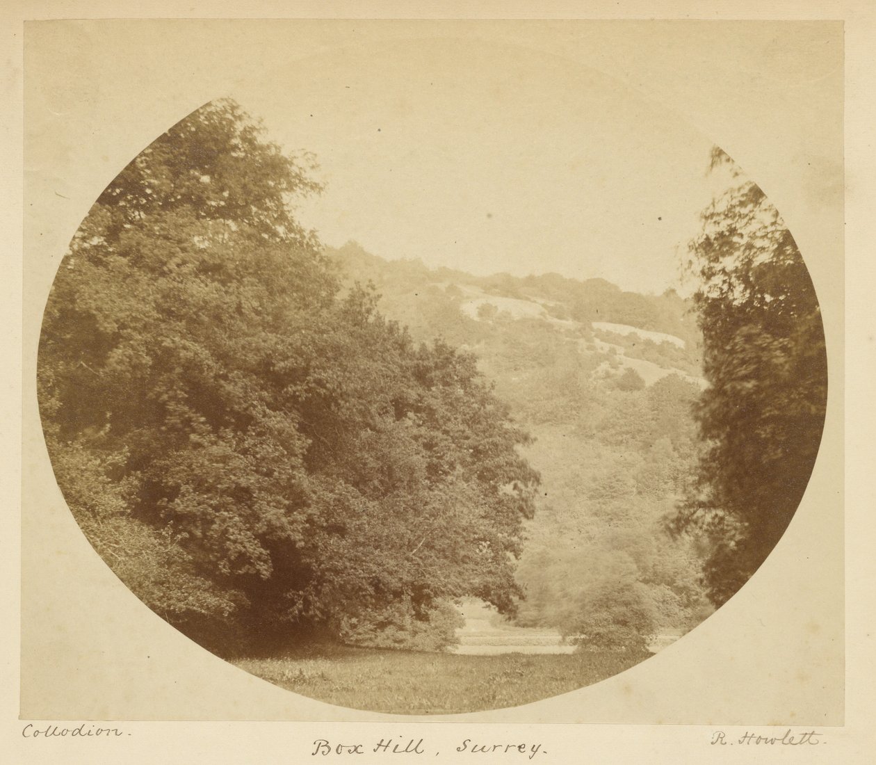 Box Hill, Surrey autorstwa Robert Howlett