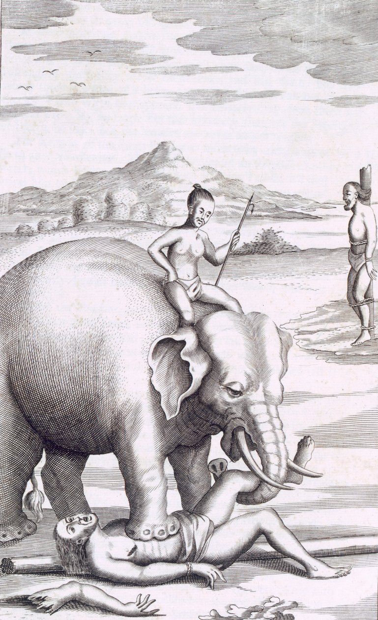 Egzekucja słonia, pub. 1681. autorstwa Robert Knox