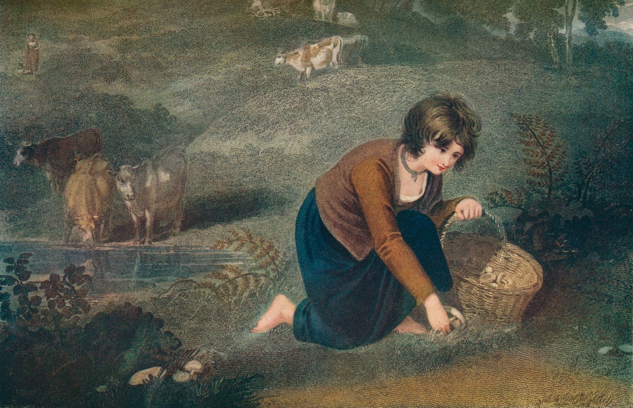 Dziewczyna zbierająca grzyby, 1800, 1917 autorstwa Robert Mitchell Meadows