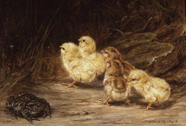 Pisklęta i ropucha autorstwa Robert Morley