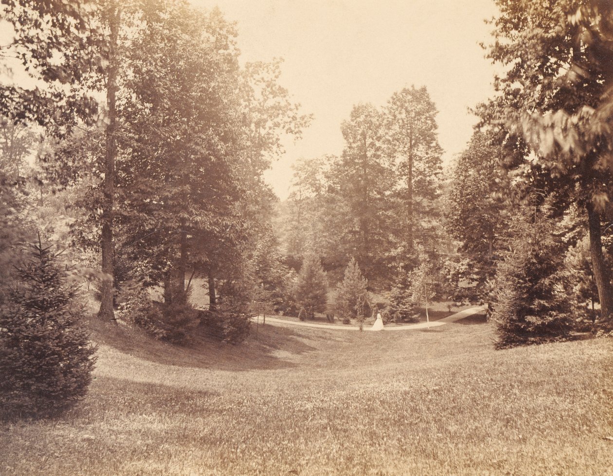 Clarence Howard Clark Estate, z portfolio "Widoki na Chestnutwold" autorstwa Robert Newell