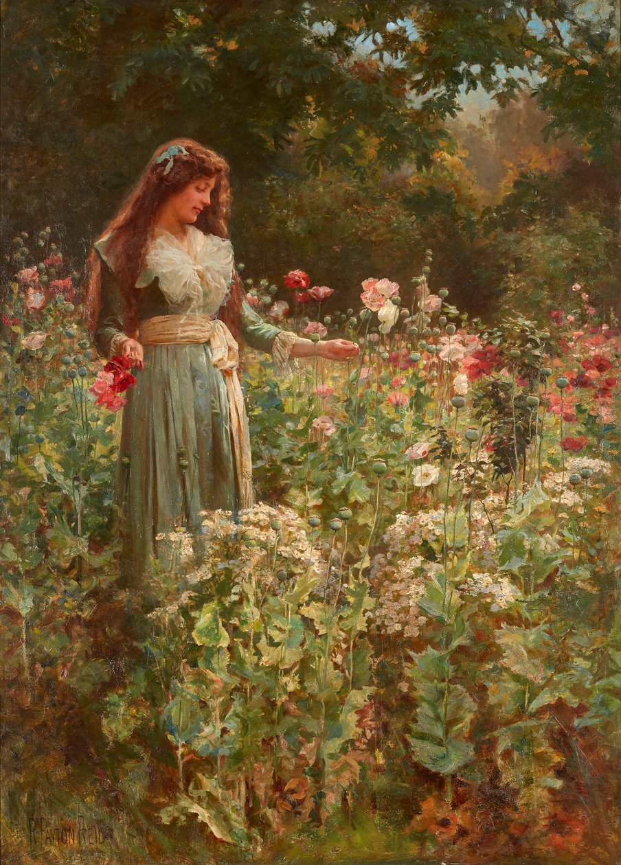 Zbieranie maków (olej na płótnie) autorstwa Robert Payton Reid