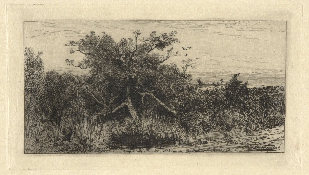 Sękate drzewo autorstwa Robert Swain Gifford