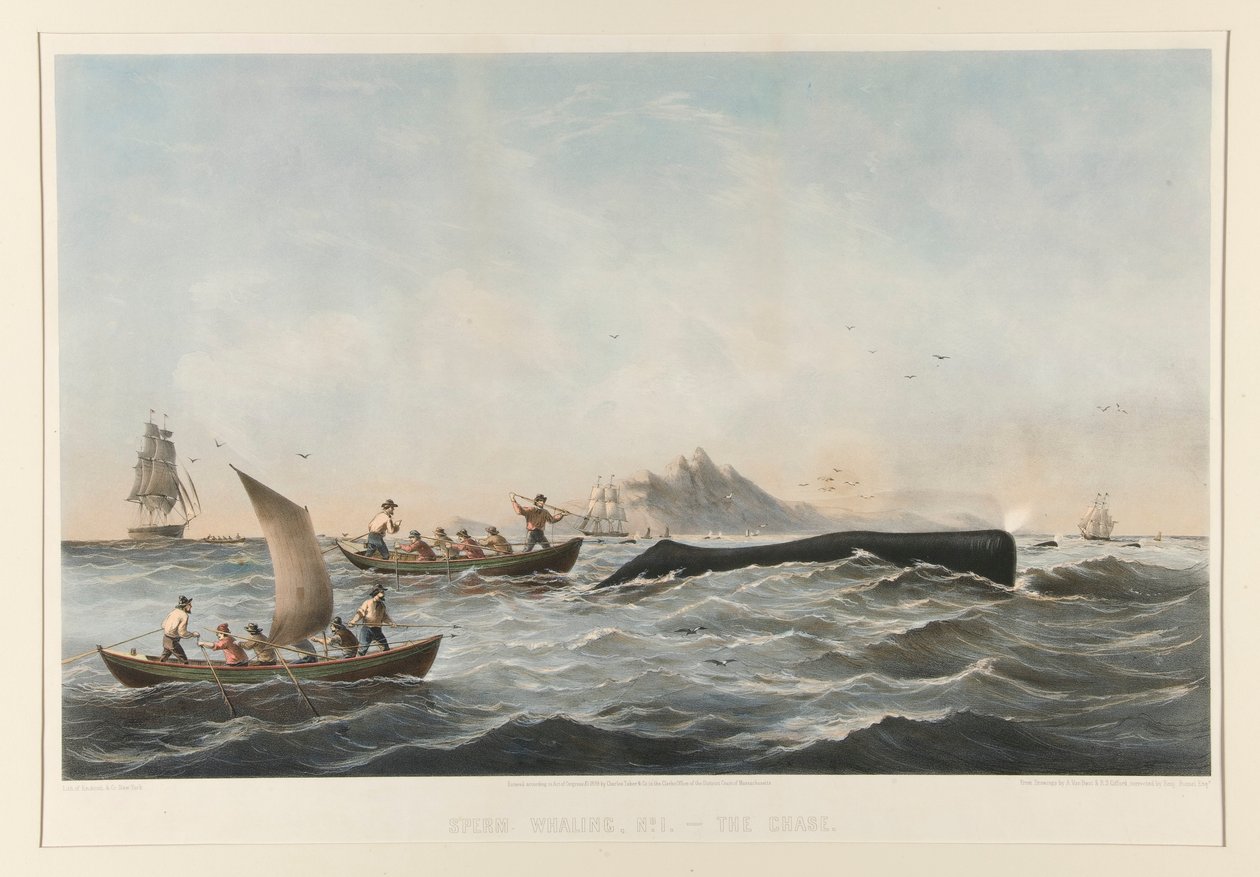 Wielorybnictwo, nr 1 Sprawa autorstwa Robert Swain Gifford