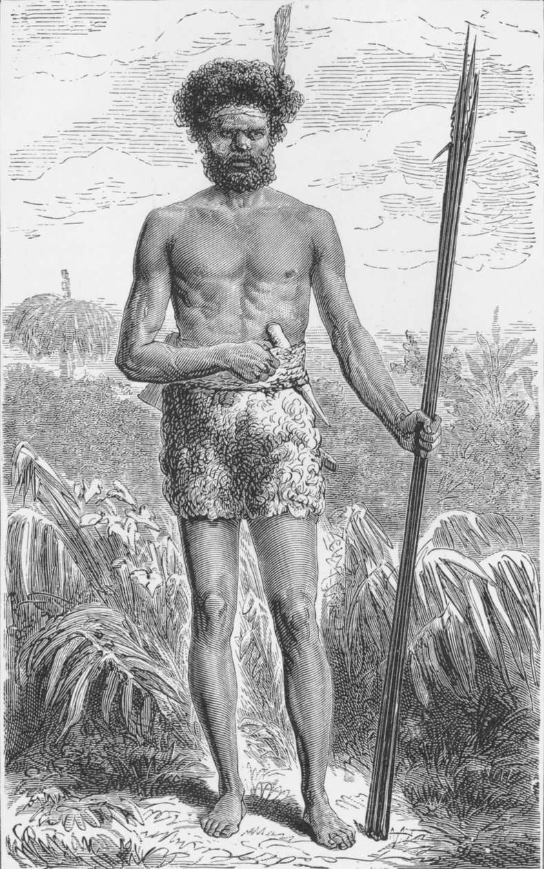 Pochodzący z Australii, c1885, 1890 autorstwa Robert Taylor Pritchett