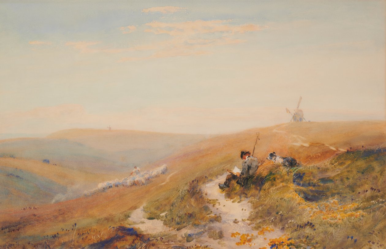 Sussex Downs (jesień) autorstwa Robert Thorne Waite