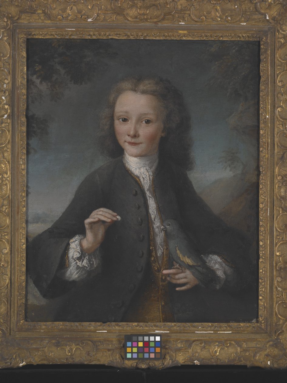 Voltaire w wieku 13 lat (olej na płótnie) autorstwa Robert Tournieres